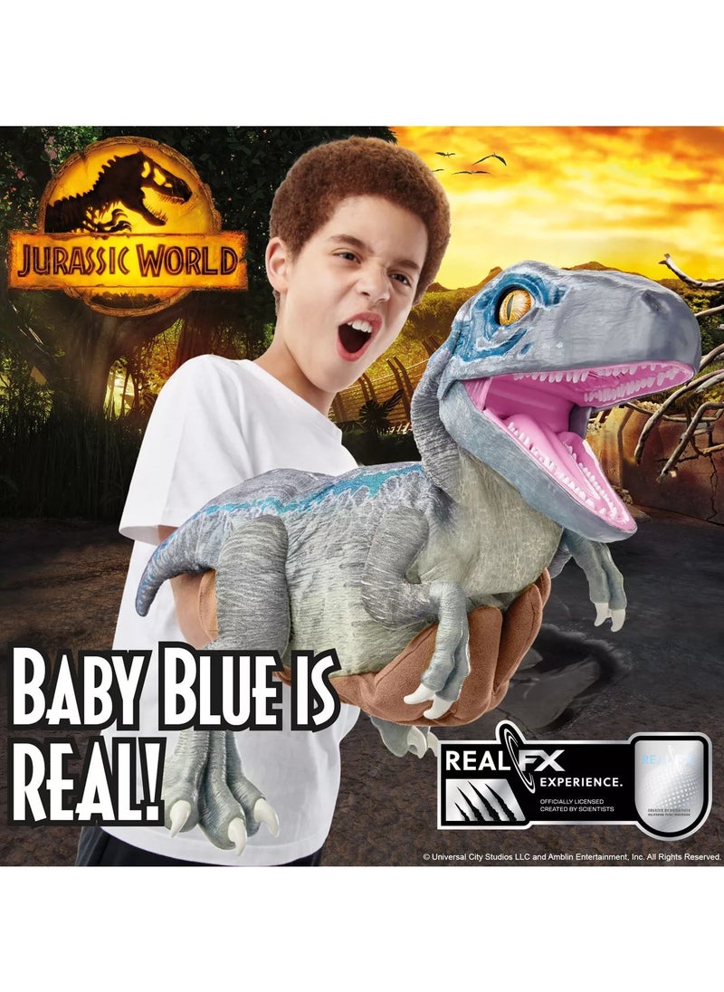 WOW! STUFF - Jurassic World REAL FX Baby Blue Dinosaur Toy | Hyper-Realistic Animatronic Dinosaur | Life-Like Movements and Real Movie Sounds | Jurassic World Dominion Official Toys | 8 + age