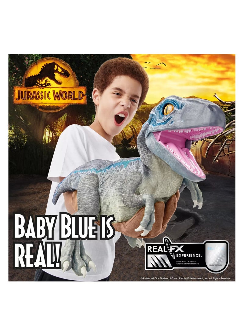 WOW! STUFF - Jurassic World REAL FX Baby Blue Dinosaur Toy | Hyper-Realistic Animatronic Dinosaur | Life-Like Movements and Real Movie Sounds | Jurassic World Dominion Official Toys | 8 + age