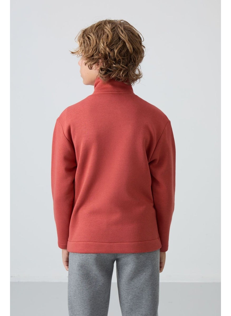 Brick Cotton Thick Fluffy Soft Textured Standard Fit Embroidered Boy's Sweatshirt - 11245