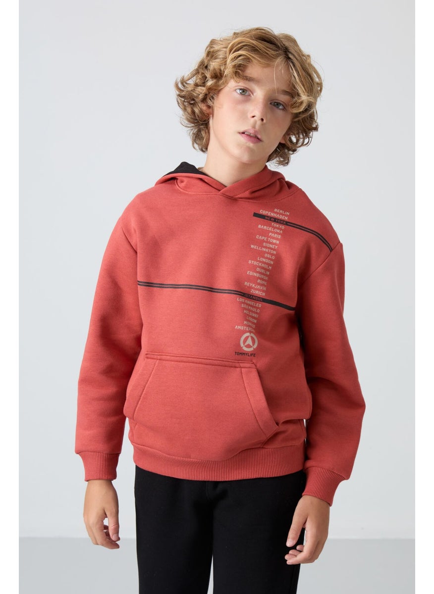 Brick Cotton Thick Fluffy Soft Textured Standard Fit Printed Boy's Sweatshirt - 11239