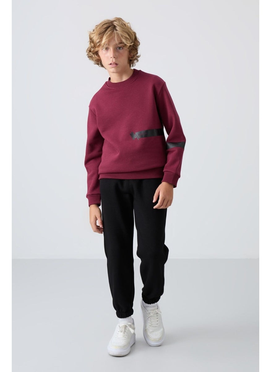 Judas tree cotton thick fluffy soft textured standard fit printed boy sweatshirt - 11238