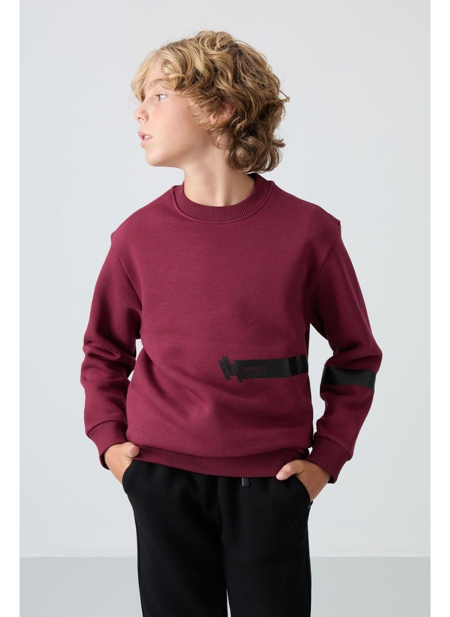 Judas tree cotton thick fluffy soft textured standard fit printed boy sweatshirt - 11238