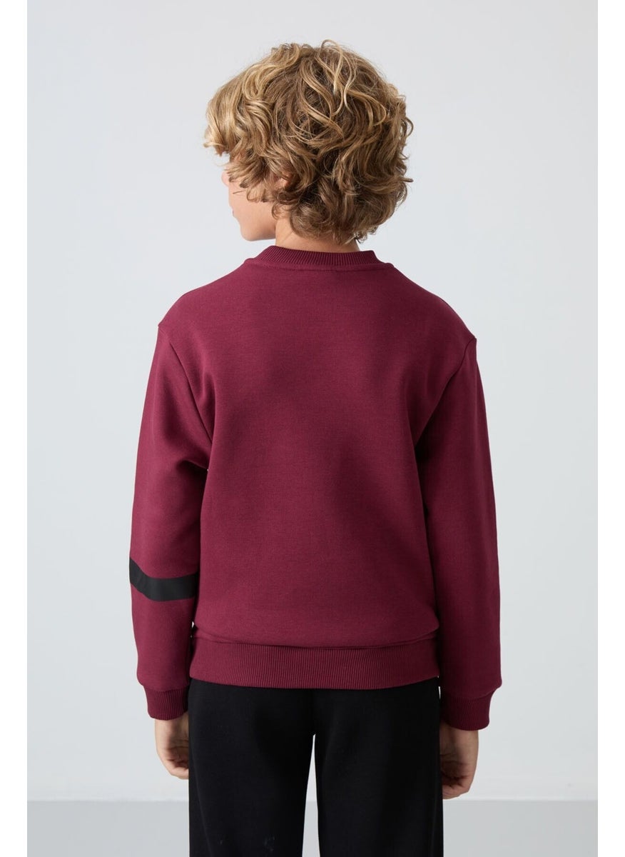 Judas tree cotton thick fluffy soft textured standard fit printed boy sweatshirt - 11238