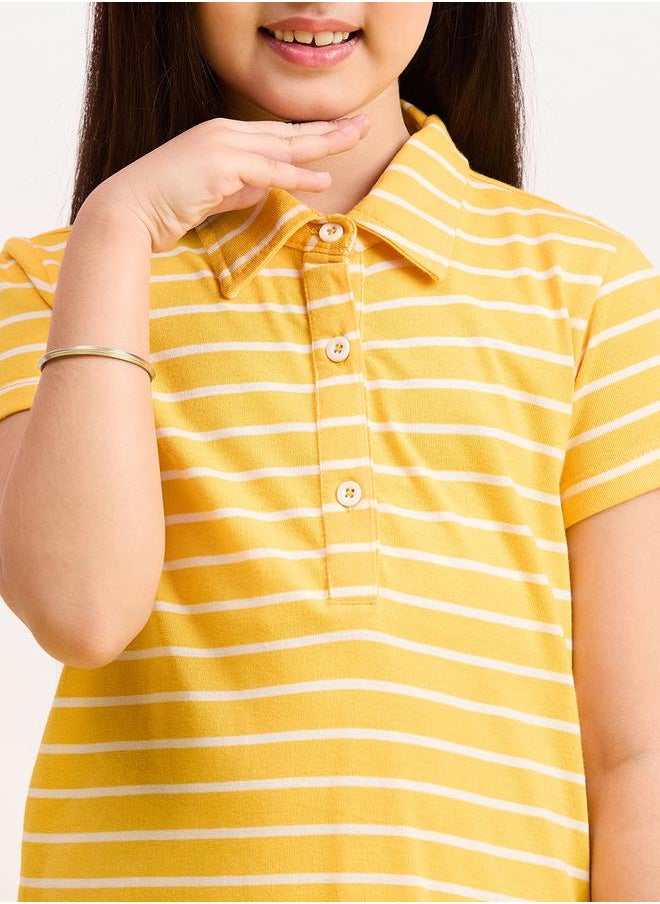 Striped Collared Half-Button Placket A-Line Dress by Styli