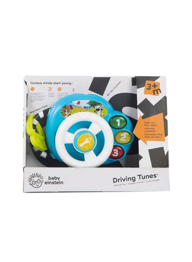Driving Tunes 24.38x13.46x19.41cm