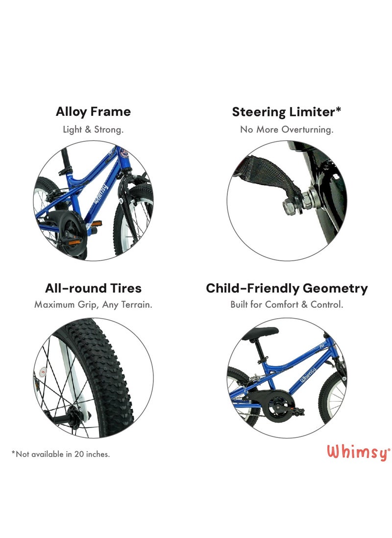 Whimsy - Pro Aluminum 16