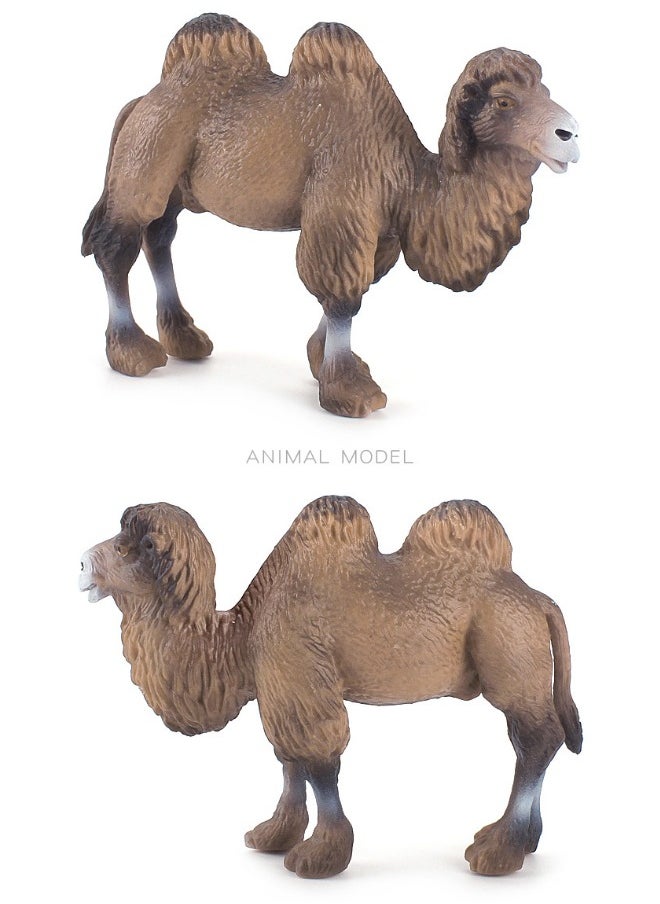 2-Pack Desert Camel Solid Static Model Figurine Toy Set, Hand-Painted Realistic Bactrian Camels, Eco-Friendly PVC Material, Animal Toys for Decoration & Education