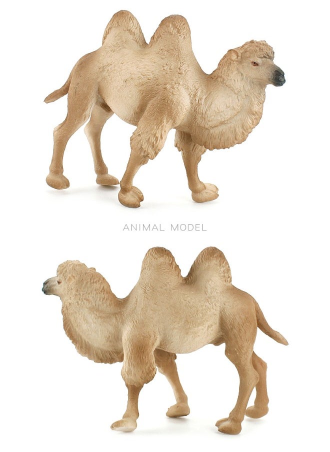 2-Pack Desert Camel Solid Static Model Figurine Toy Set, Hand-Painted Realistic Bactrian Camels, Eco-Friendly PVC Material, Animal Toys for Decoration & Education