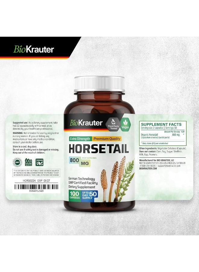 (100 Capsules) - Horsetail Capsules, 500 mg, Organic Horsetail Herb (Equisetum arvense) (100 Capsules)