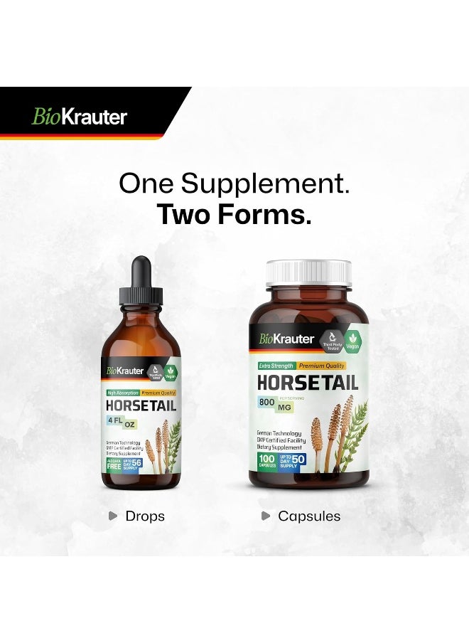 (100 Capsules) - Horsetail Capsules, 500 mg, Organic Horsetail Herb (Equisetum arvense) (100 Capsules)
