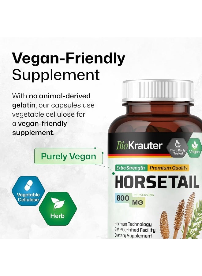 (100 Capsules) - Horsetail Capsules, 500 mg, Organic Horsetail Herb (Equisetum arvense) (100 Capsules)