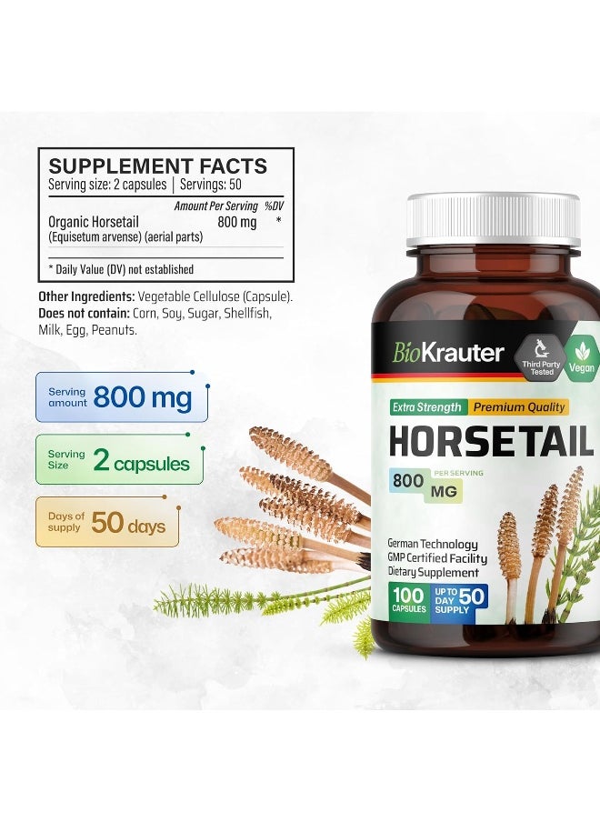 (100 Capsules) - Horsetail Capsules, 500 mg, Organic Horsetail Herb (Equisetum arvense) (100 Capsules)