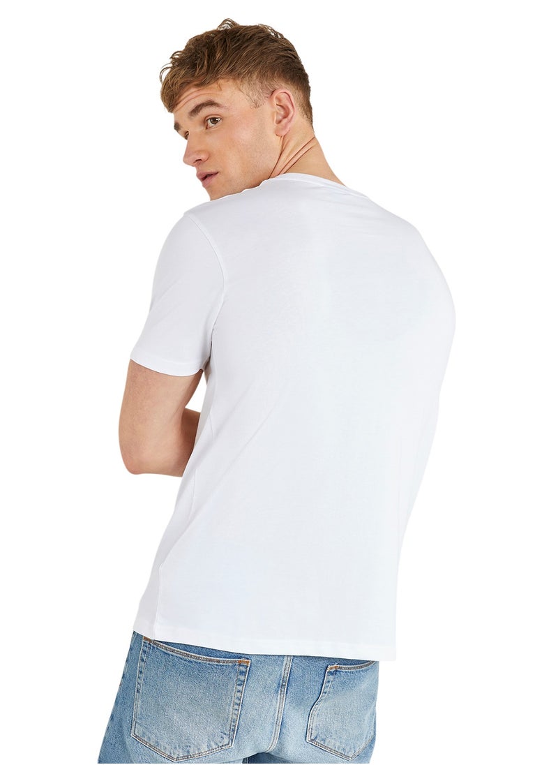 Graphic Regular Fit Premium Cotton Crew Neck T-shirt