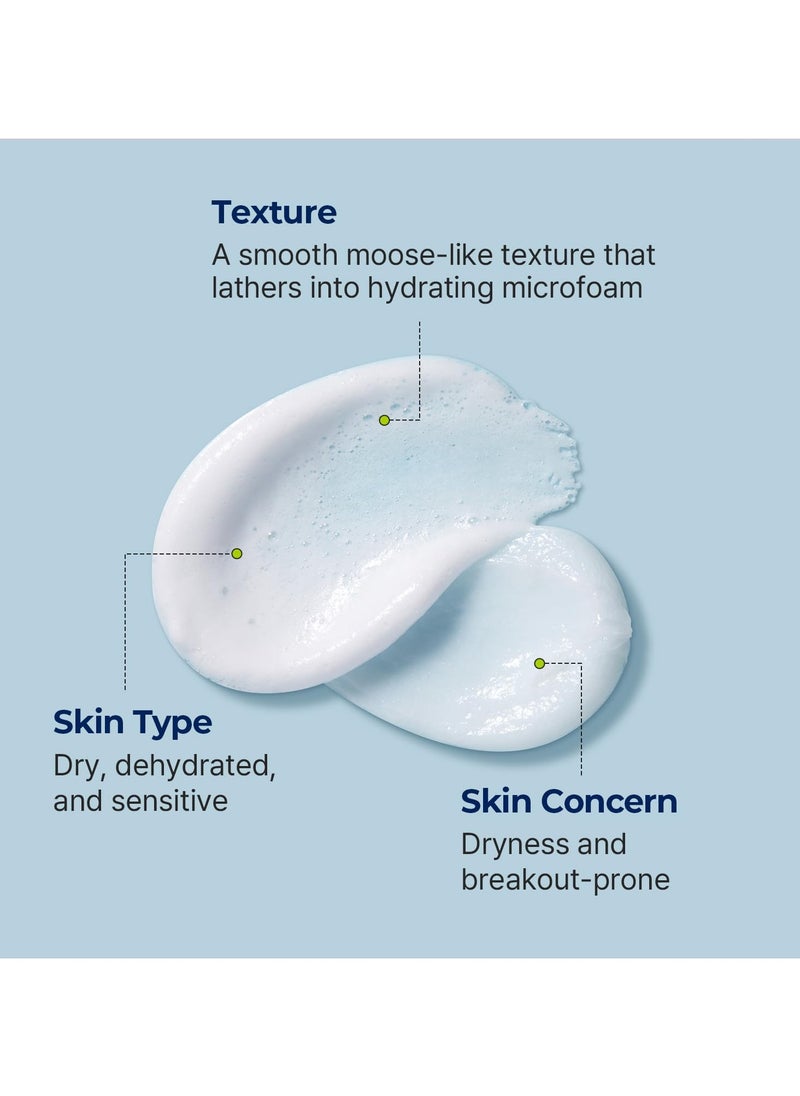 DIVE IN Cleansing Foam Face Wash 150ml (5.07 fl.oz.) | Hydrating Daily Facial Cleanser for All and Sensitive Skin | Hyaluronic Acid, Panthenol, Allantoin