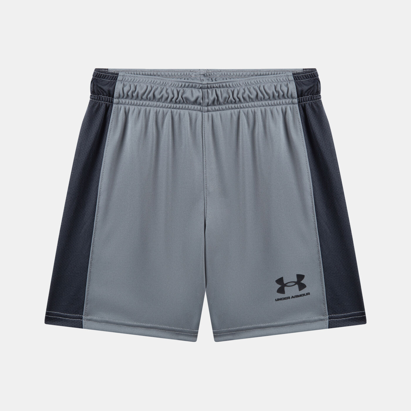 Kids' UA Challenger Knit Shorts