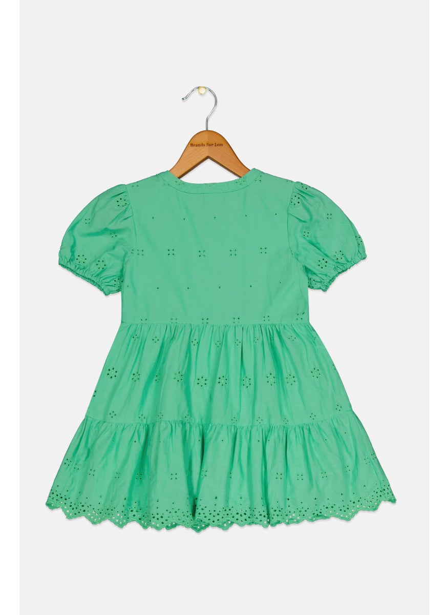 Toddlers Girl Embroidered Pull Over Dress, Light Green
