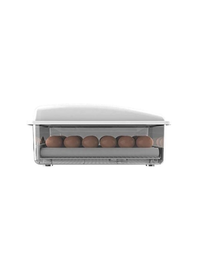24 Egg Dual Power Digital Mini Automatic Eggs Incubator with Turner