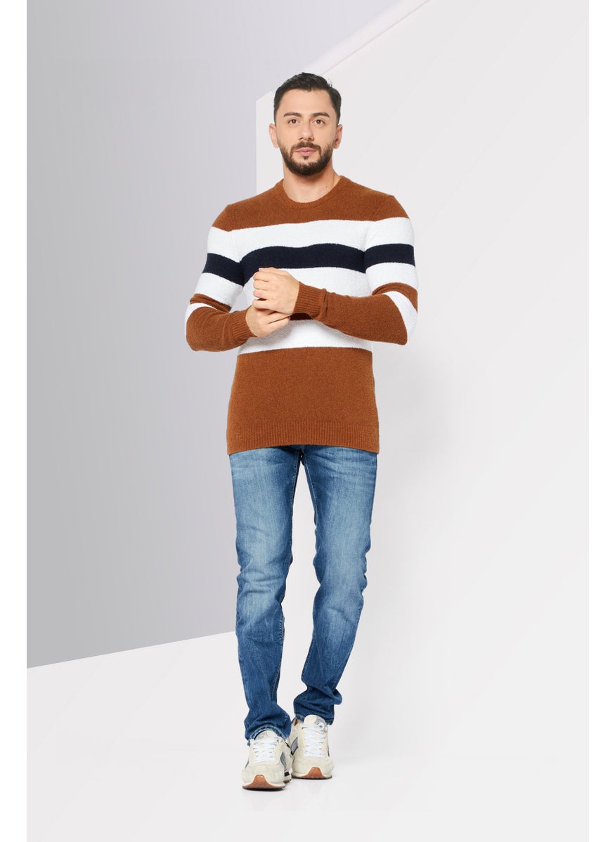 Men Crew Neck Stripe Long Sleeves Sweatshirt, Brown