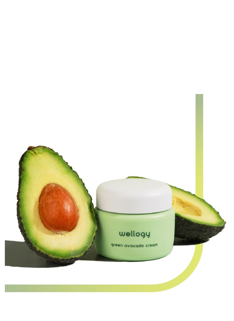 Wellogy Korean Daily Niacinamide Moisturizer Face Cream with Vitamin C and Natural Green Avocado | Normal to Combination Skin | Vegan, Moisture Boost, Lightweight Formula for Hydrated Skin | 55ml