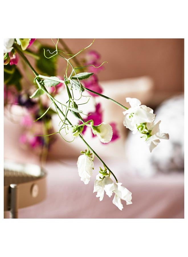 Scented candle in glass, Sweet pea/purple, 20 hr