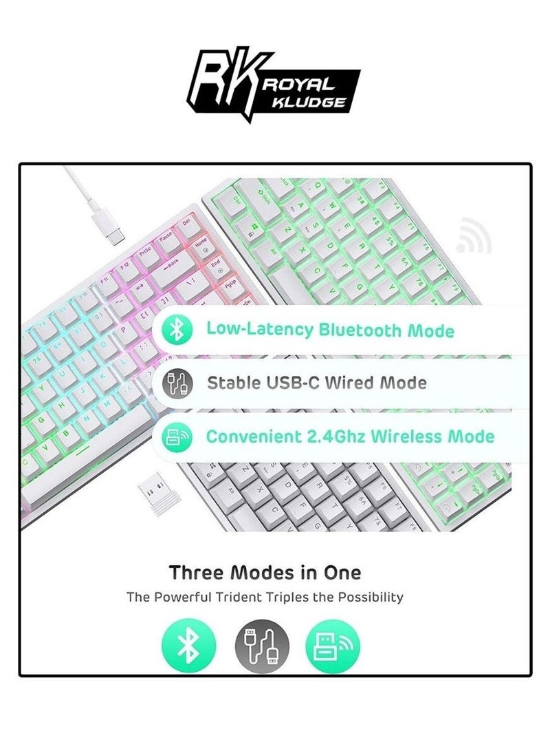 ROYAL KLUDGE RK84 TRI-MODE RGB 84 KEYS HOT SWAPPABLE MECHANICAL KEYBOARD WHITE (BROWN SWITCH)
