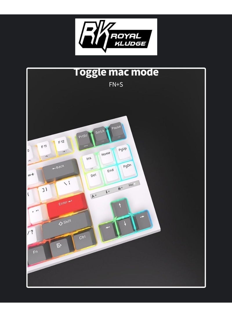 Royal Kludge RK-R87 Single-Mode RGB 87 Keys Hot Swappable Mechanical Keyboard Black (Blue Switch)