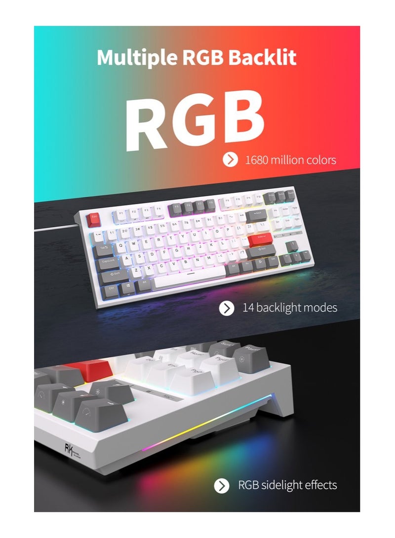 Royal Kludge RK-R87 Single-Mode RGB 87 Keys Hot Swappable Mechanical Keyboard Black (Blue Switch)