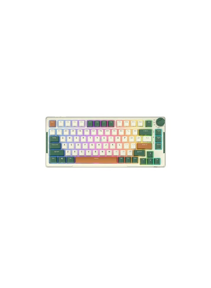 Royal Kludge RK-H81 Tri-Mode RGB 81 Keys Hot Swappable Mechanical Keyboard Time Machine (Sky Cyan Switch)