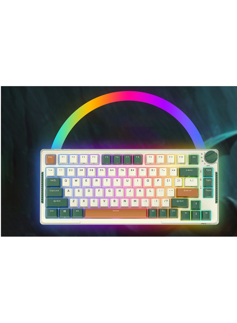 Royal Kludge RK-H81 Tri-Mode RGB 81 Keys Hot Swappable Mechanical Keyboard Time Machine (Sky Cyan Switch)