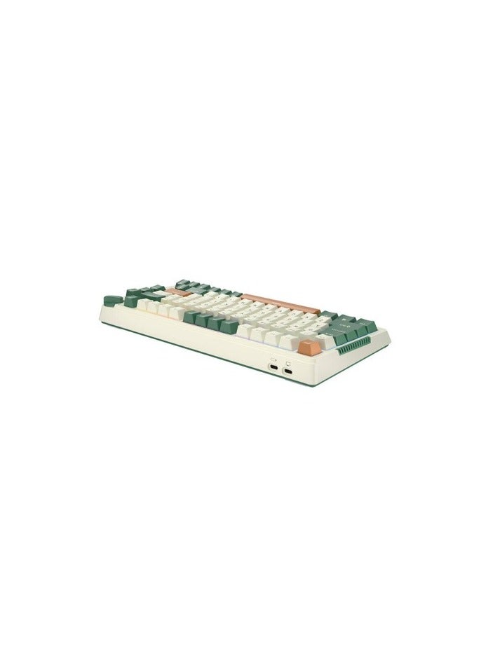 Royal Kludge RK-H81 Tri-Mode RGB 81 Keys Hot Swappable Mechanical Keyboard Time Machine (Sky Cyan Switch)