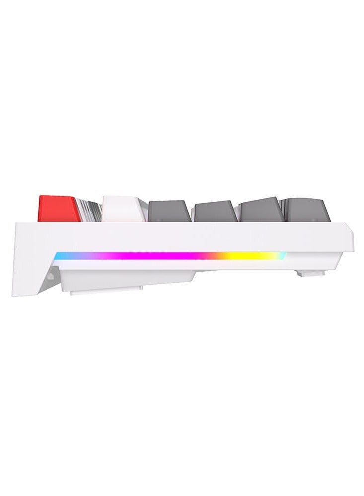 Royal Kludge RK R87 Wired TKL RGB Hot-Swappable Gaming Keyboard White - Blue Switch
