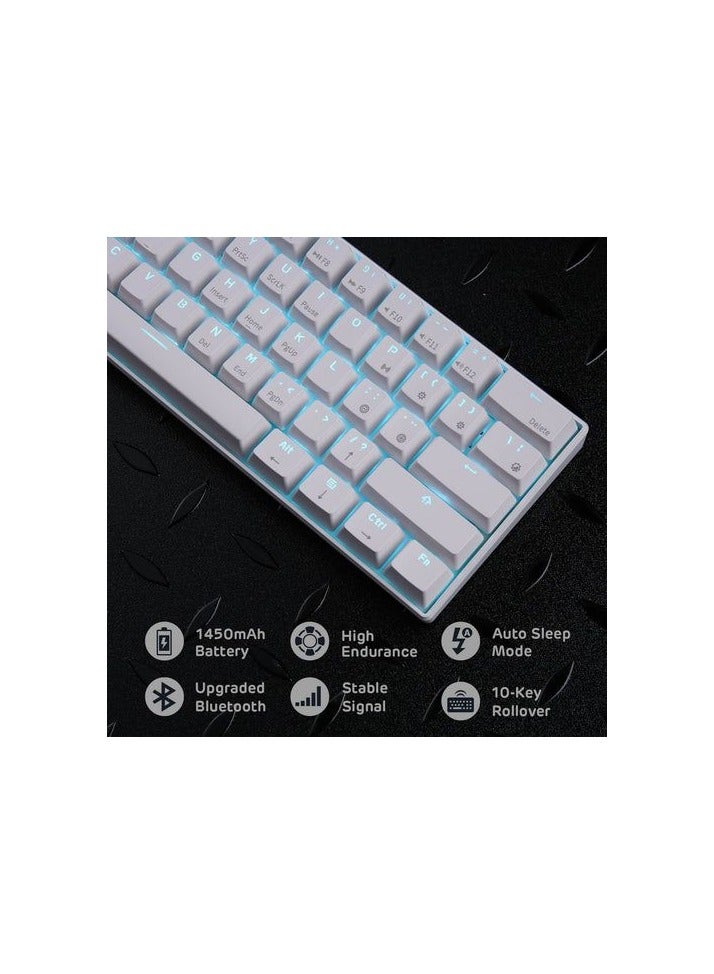 Royal Kludge Rk61 Tri-Mode RGB 61 Keys Hot Swappable White Mechanical Keyboard (Blue Switch)