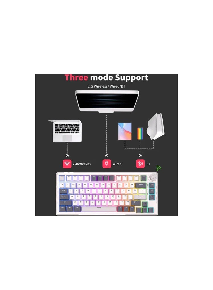 RK Royal Kludge RK H81 81 Keys Tri-Mode with Knob Control RGB Wireless Mechanical Keyboard White Night  - Blue Switch