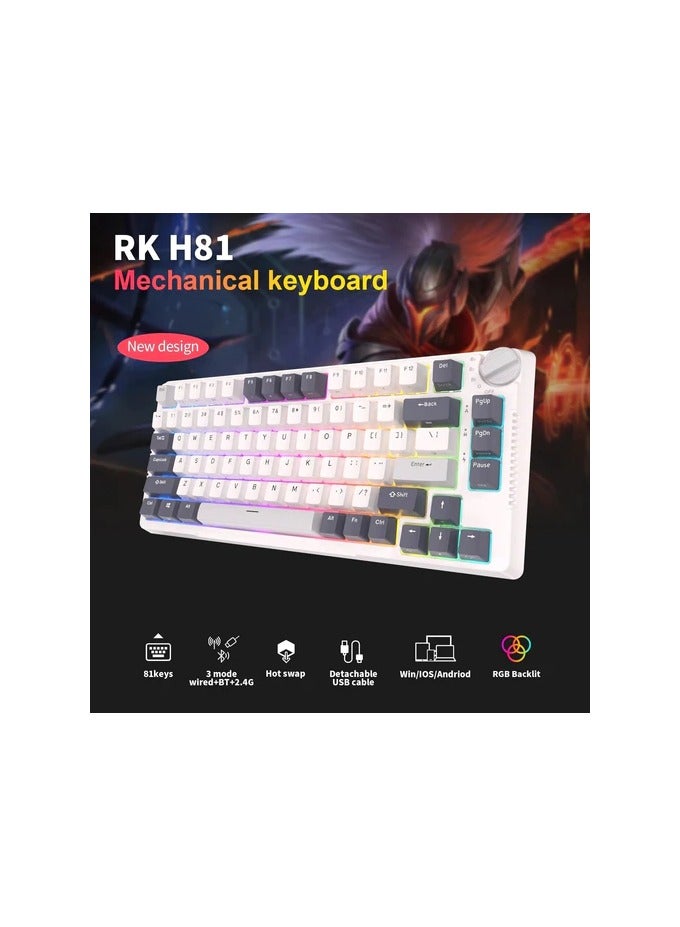 RK Royal Kludge RK H81 81 Keys Tri-Mode with Knob Control RGB Wireless Mechanical Keyboard White Night  - Blue Switch