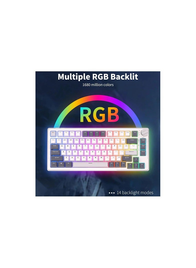 RK Royal Kludge RK H81 81 Keys Tri-Mode with Knob Control RGB Wireless Mechanical Keyboard White Night  - Blue Switch