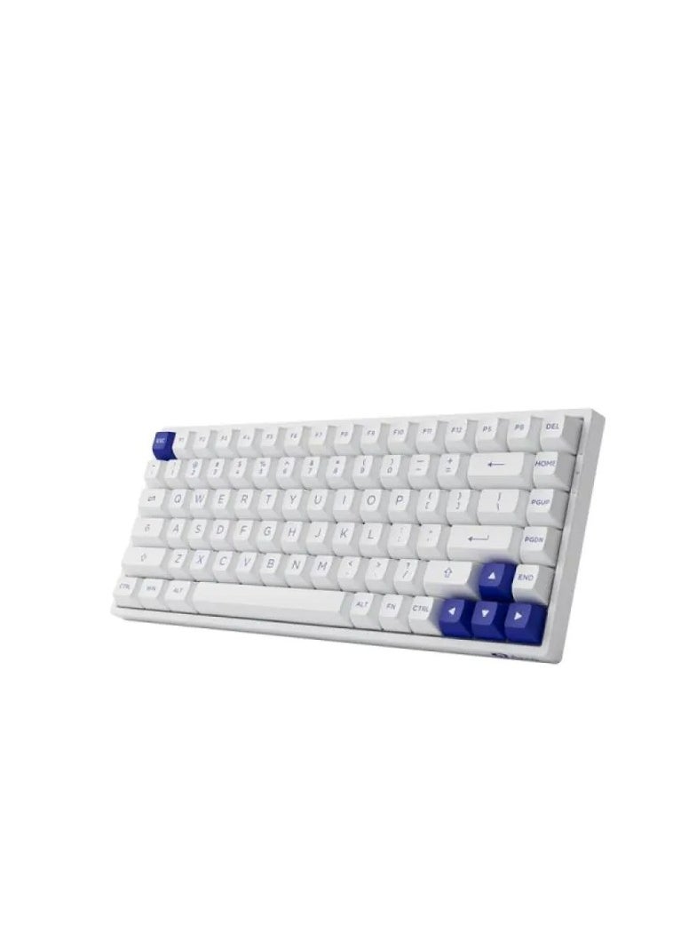 AKKO 3084B Plus White & Blue Multi-Mode Keyboard - V3 Cream Yellow