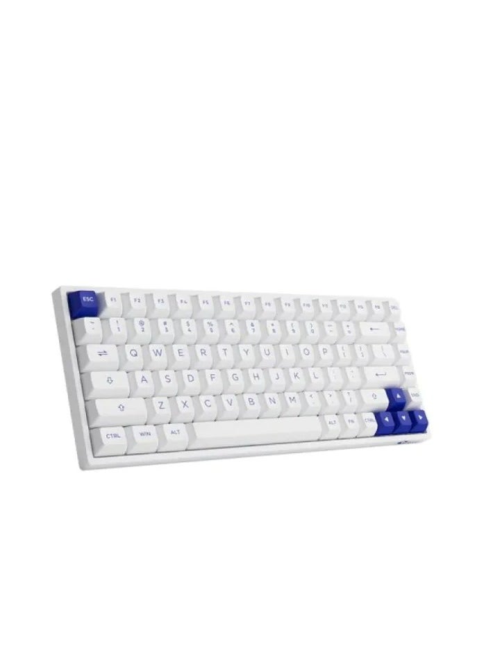 AKKO 3084B Plus White & Blue Multi-Mode Keyboard - V3 Cream Yellow