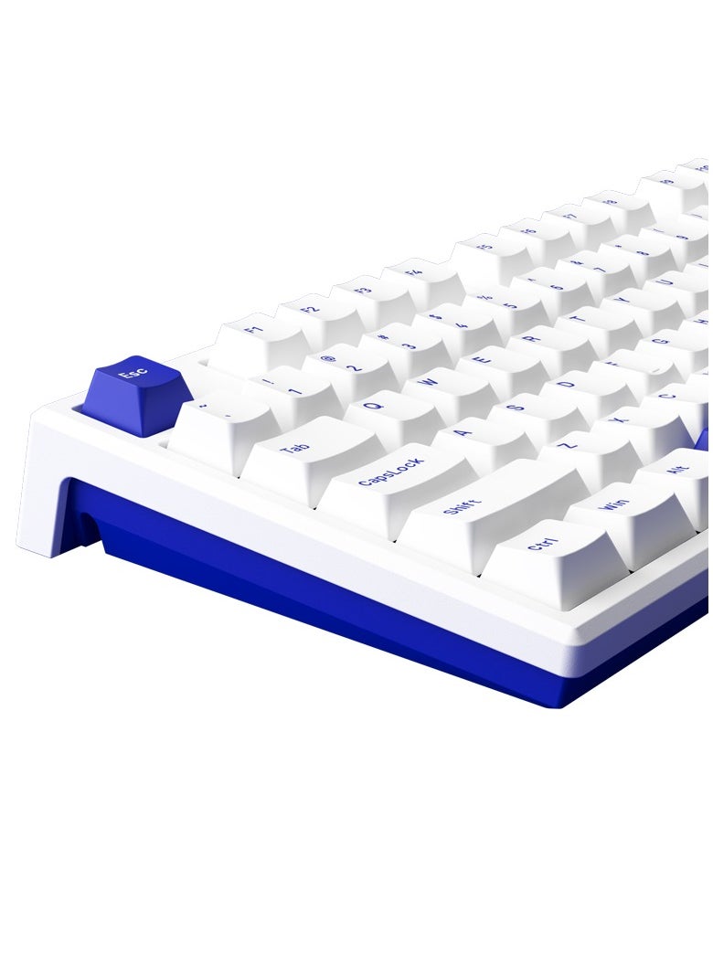AKKO MonsGeek MG108B Blue on White Multi-Mode Wireless Keyboard - TTC Golden Blue