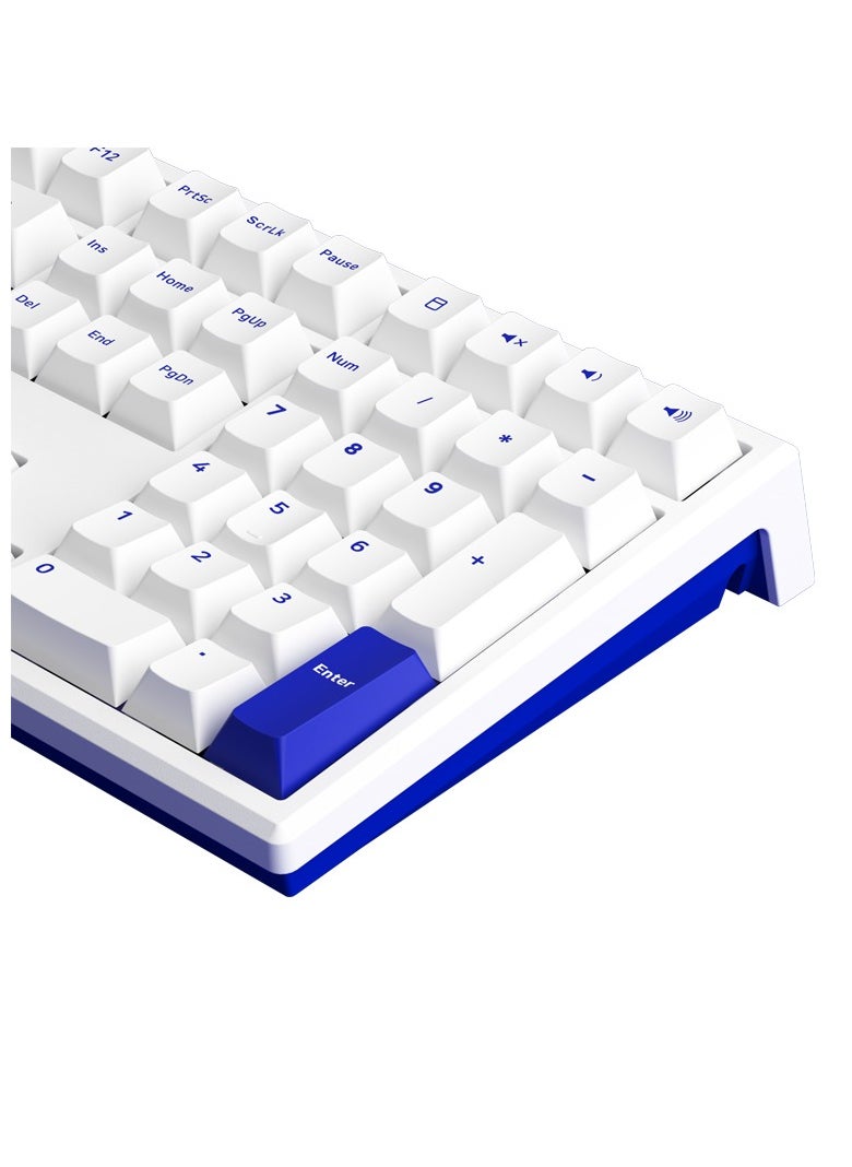 AKKO MonsGeek MG108B Blue on White Multi-Mode Wireless Keyboard - TTC Golden Blue