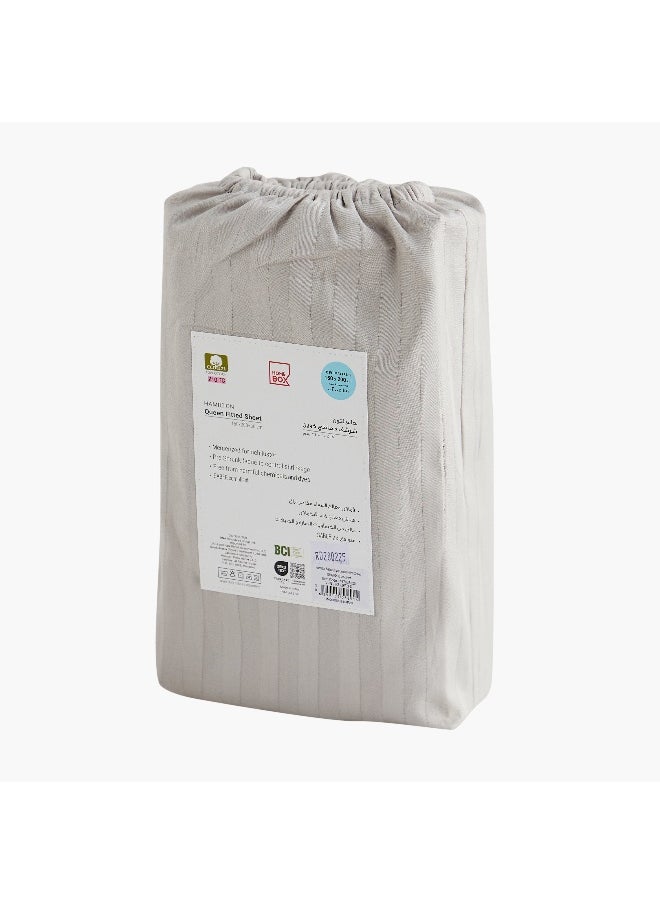 Hamilton Satin Stripe Queen Fitted Sheet - 150x200+36 cm