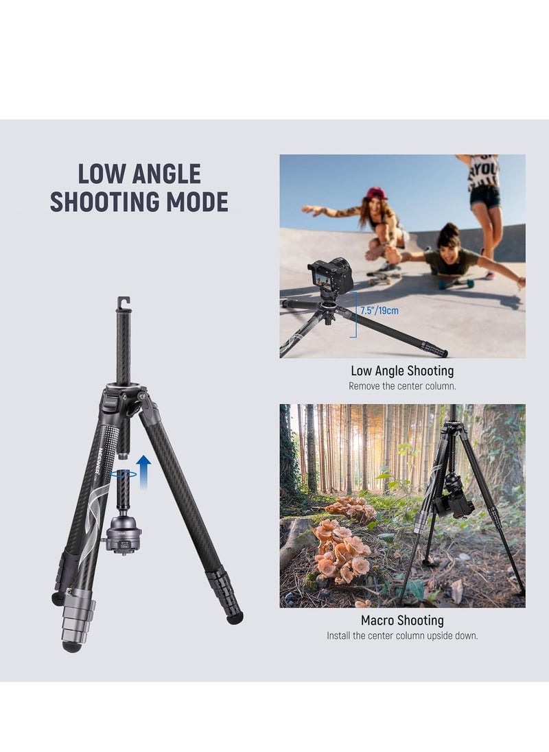 NEEWER LITETRIP LT32 62
