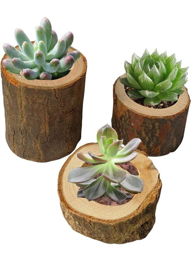 3-Piece Tree Tealights Candlestick Holder Brown One Size