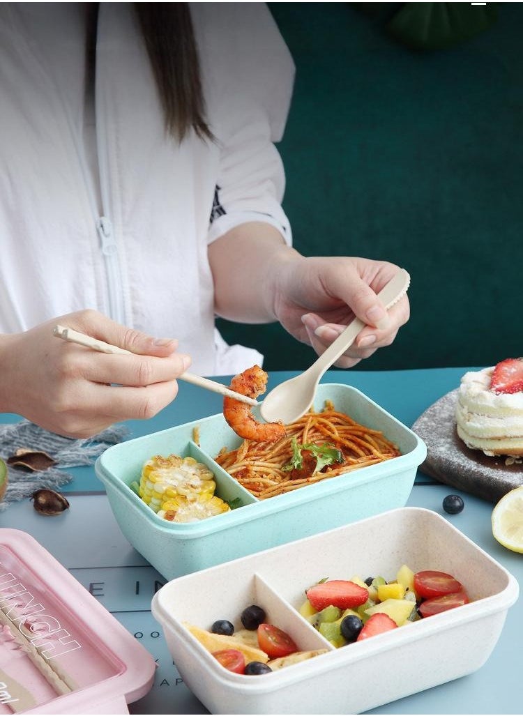 Bento Box Portable Lunch Box Leakproof Salad Lunch Container With Spoon u0026 Chopsticks Leak Proof Lunch Containers Microwave Freezer Dishwasher Available, Rectangle, Light Blue