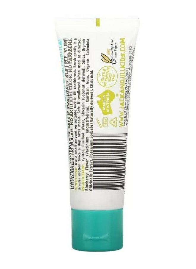 Natural Toothpaste 6 Months Blueberry 1.76 oz 50 g