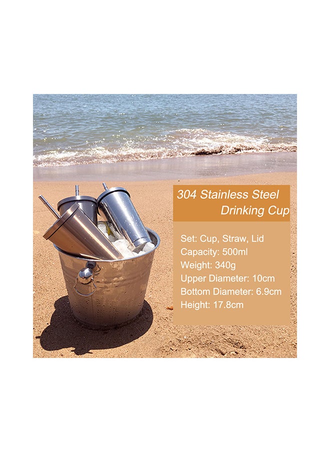 Hot u0026 Cold Drink Vacuum Insulated Flask With Straw Silver 17.8x10cm