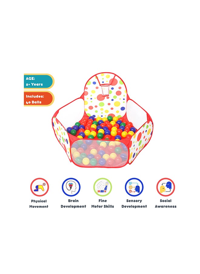 Foldable Ball Holder Basket