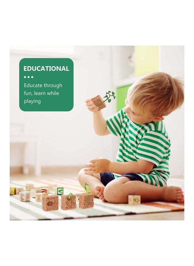 4-Piece Plants Life Cycle Educational Evolution Toy