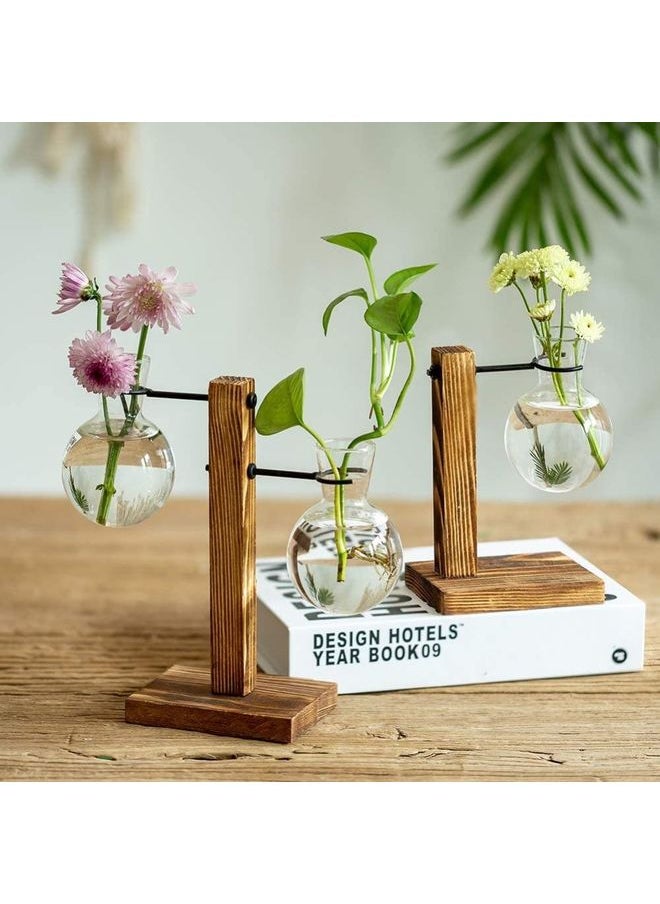 Creative Glass Plant Terrarium With Wooden Stand Multicolour one size cm