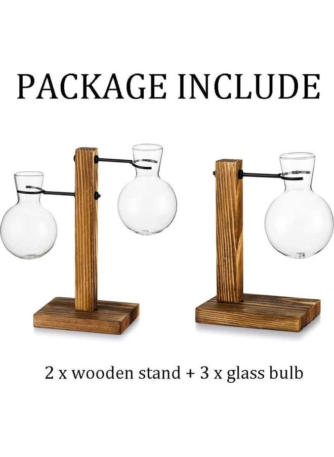 Creative Glass Plant Terrarium With Wooden Stand Multicolour one size cm