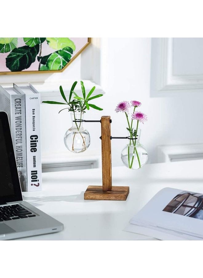 Creative Glass Plant Terrarium With Wooden Stand Multicolour one size cm